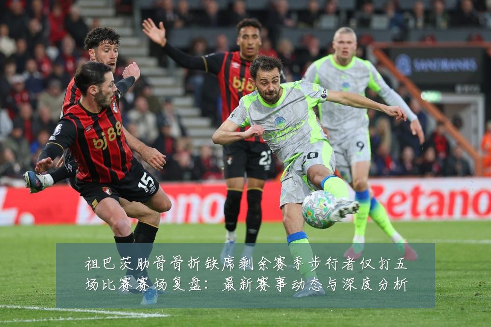 祖巴茨肋骨骨折缺席剩余赛季步行者仅打五场比赛赛场复盘:最新赛事动态与深度分析